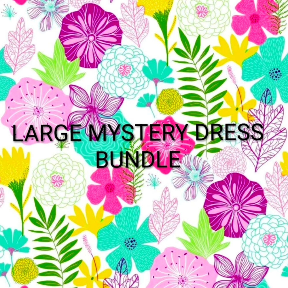 Size Large Mystery Dress Bundle